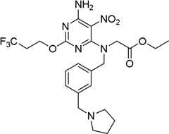 Figure BDA0000075082050001552