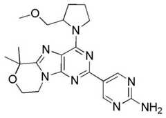 Figure BDA0001402557760001041