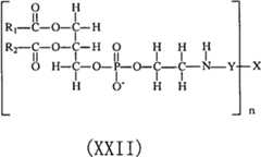 Figure BPA00001496789400313