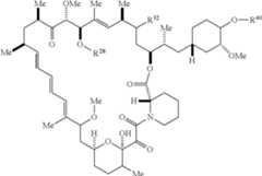 Figure US12048749-20240730-C00050