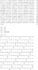 Figure IDA0000079231860001521