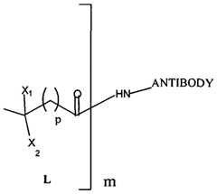 Figure imgf000019_0002