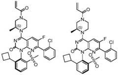 Figure BDA0002861043520000884