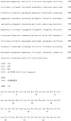 Figure IDA0002581779080001391