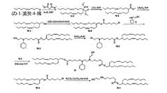 Figure 111101514-A0305-12-0205-130