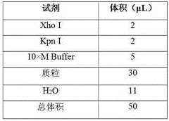 Figure 15190DEST_PATH_IMAGE001