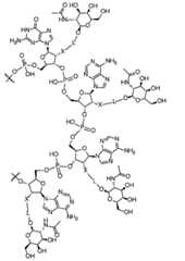 Figure 2023509872000066