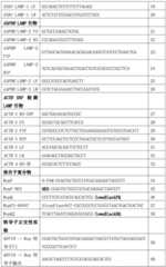 Figure BDA0002669734940000231