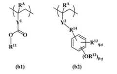 Figure JPOXMLDOC01-appb-C000030
