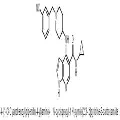 Figure 112017118846628-pat00043