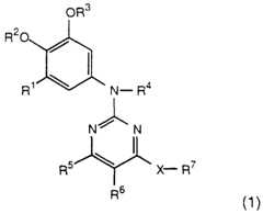 Figure imgf000081_0001