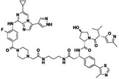 Figure BDA0002964098100002041