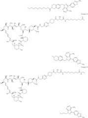 Figure US11364300-20220621-C00461