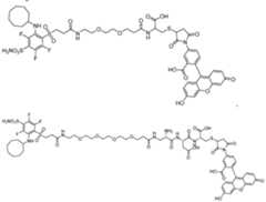 Figure imgf000021_0002