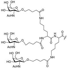 Figure imgf000376_0001
