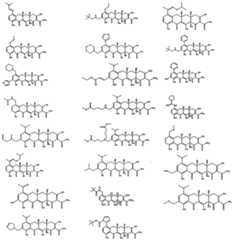 Figure imgf000120_0001