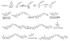 Figure 112134112-A0202-12-0223-904