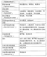 Figure GPA00001140382200191