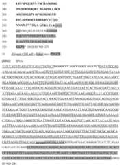 Figure imgf000094_0001