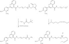 Figure US07695929-20100413-C00229