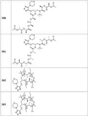 Figure BDA0002268634580003081