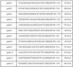 Figure imgf000144_0001