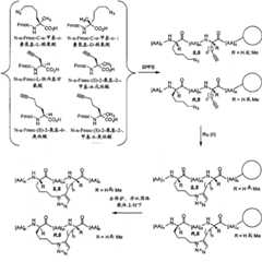 Figure BPA00001373600300511