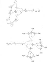 Figure imgf000214_0001