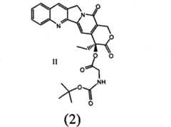 Figure FSA00000498899900021