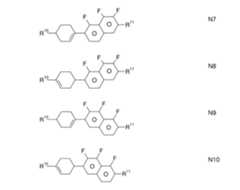 Figure 2024079817000073