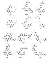 Figure BPA00001280125600731