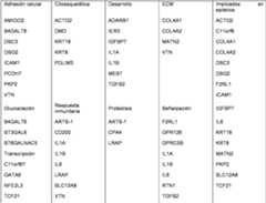 Figure imgf000058_0001