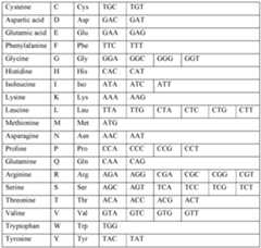 Figure imgf000037_0001