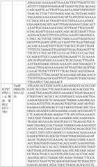 Figure BDA0004033970230006261