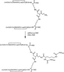 Figure A20048001875700461