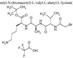 Figure imgf000427_0001
