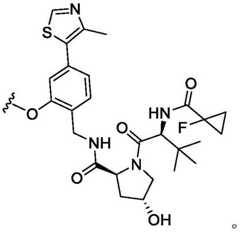 Figure BDA0003783300830001376