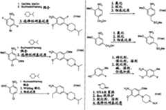 Figure GPA00001084614800631