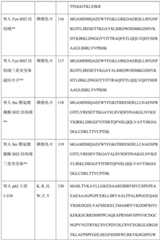 Figure BDA0004113681710000531