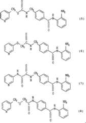 Figure A2004800146330004C1