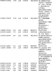 Figure BPA00001280678302281