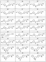 Figure imgf000079_0001