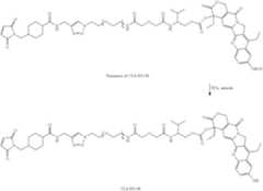 Figure US08759496-20140624-C00011