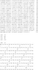 Figure IDA0000079231860000891