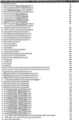 Figure GPA00001077157301061