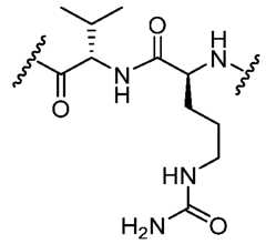 Figure imgf000019_0004