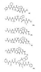 Figure G2009101493490D00591