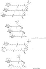 Figure imgf000081_0001