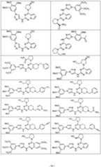 Figure imgf000045_0001