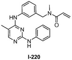 Figure BDA0001453135130003021